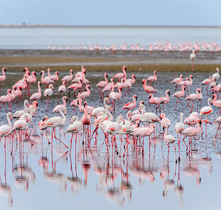 Namibia - Wildnis und Weite