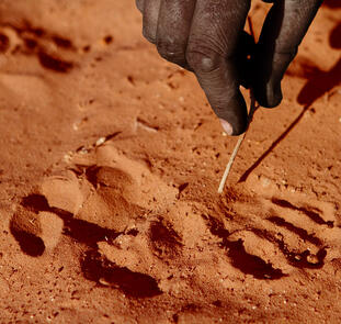 Naturschätze im südlichen Afrika